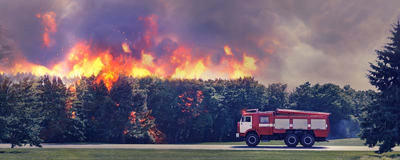 消防引擎急于扑灭森林中的火灾800.jpg
