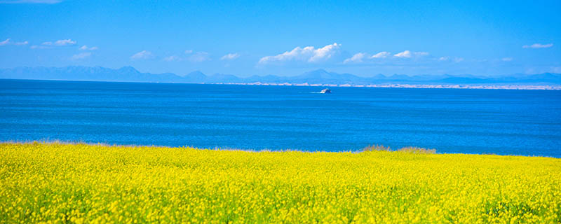 青海湖800.jpg