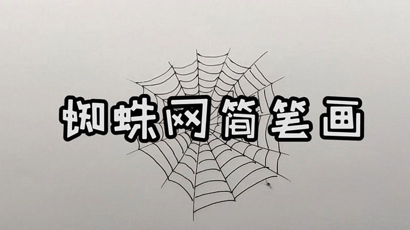 蜘蛛网简笔画