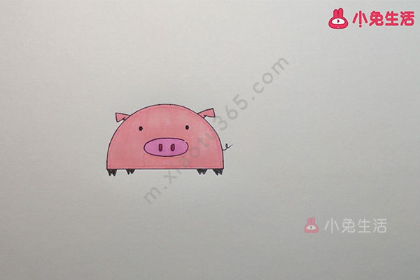 小猪的画法