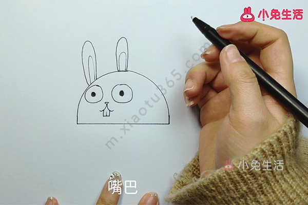 兔子的画法