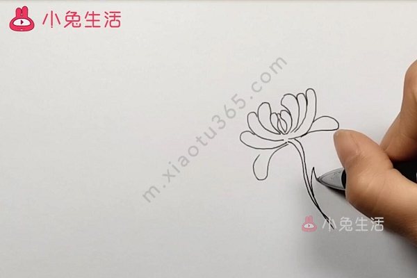 菊花简笔画