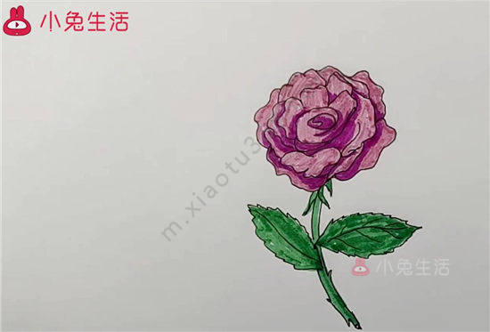 月季花简笔画