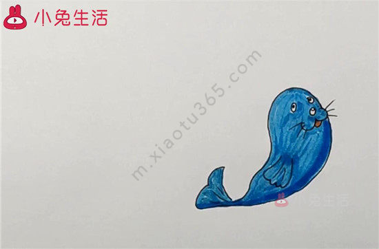 海狮简笔画