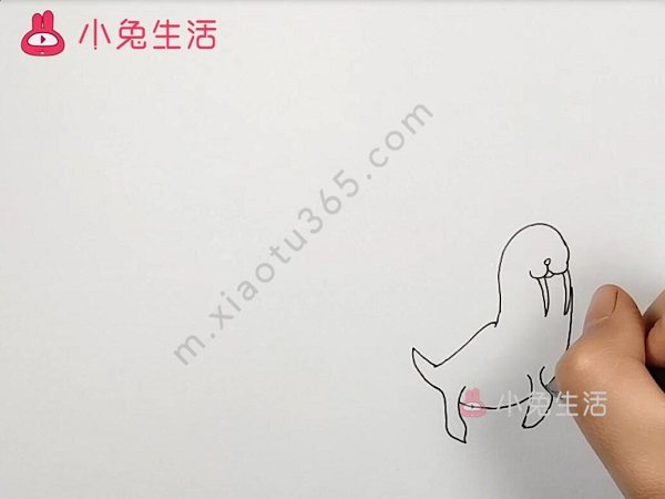 海狮简笔画