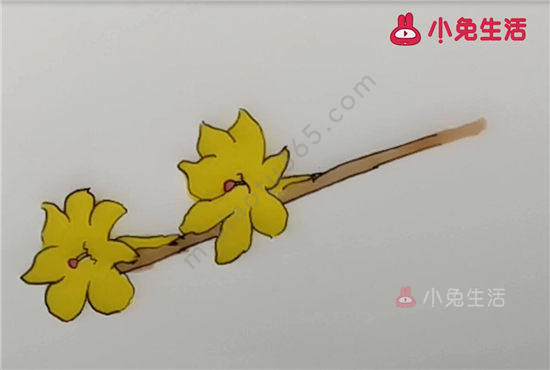 迎春花简笔画