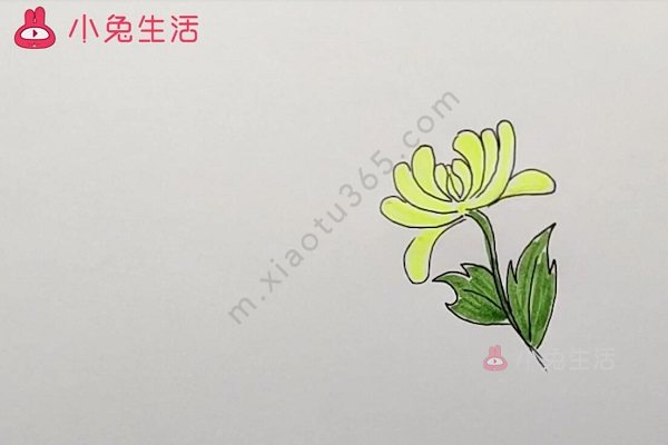 菊花简笔画