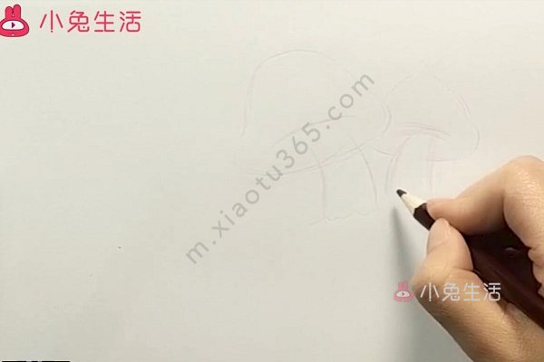 菌类盆栽简笔画