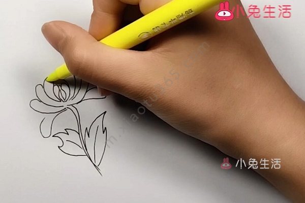 菊花简笔画