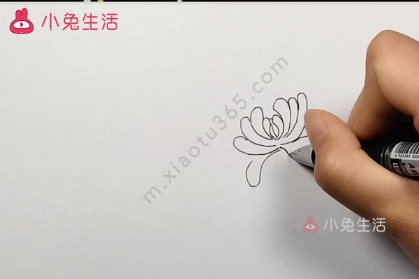 菊花简笔画