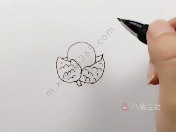 荔枝简笔画