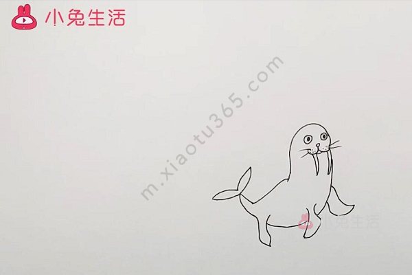 海狮简笔画