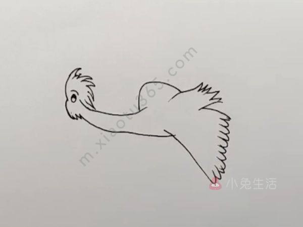 杜鹃鸟简笔画