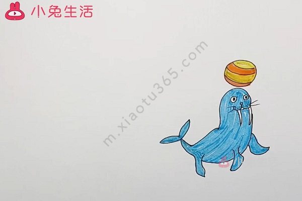 海狮简笔画