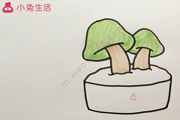 菌类盆栽简笔画