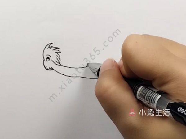 杜鹃鸟简笔画