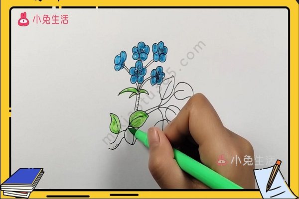 梨花简笔画