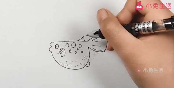 菜刀型鱼简笔画