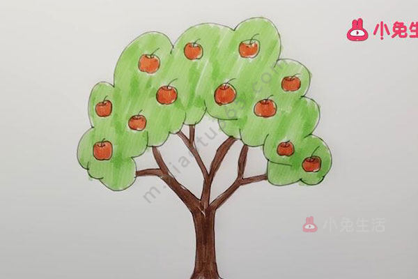 苹果树简笔画