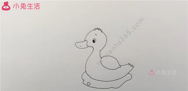 小鸭子的画法
