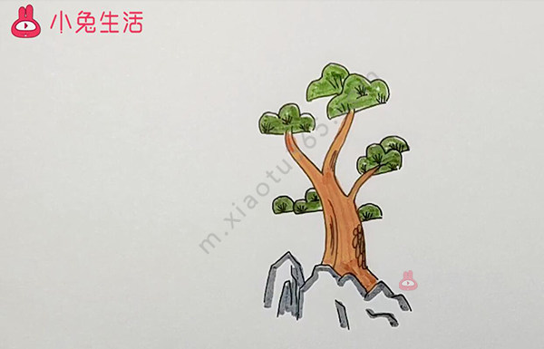 发财树简笔画