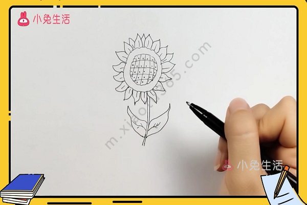 向日葵简笔画