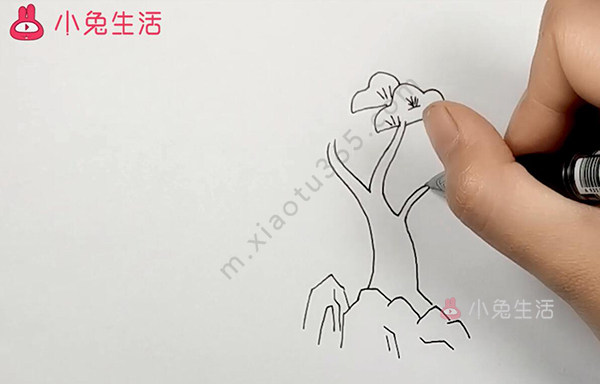 发财树简笔画