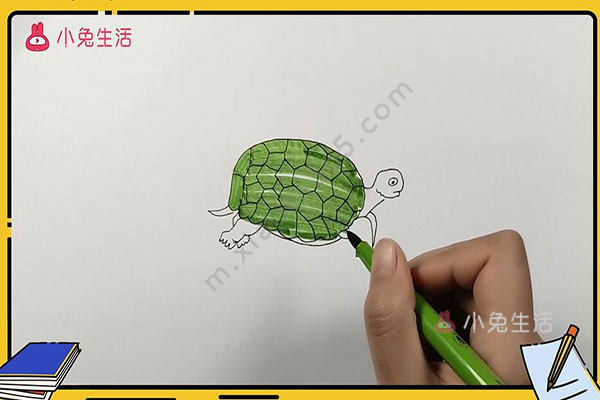 乌龟简笔画
