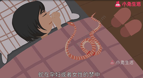 孕妇梦见蛇是什么意思