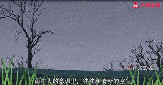 梦见雨是什么意思