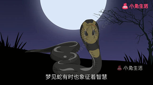 梦见蛇是什么意思