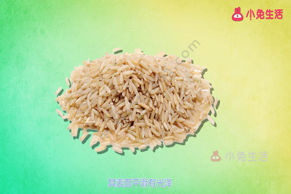糙米营养价值